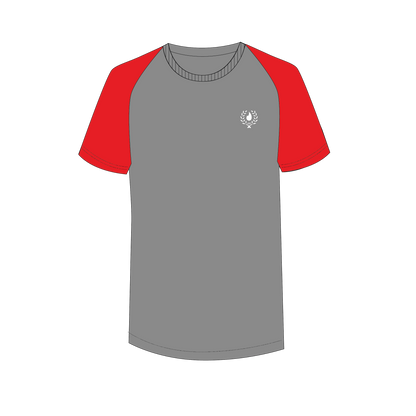 T-Shirt (Light Grey) + House Colour