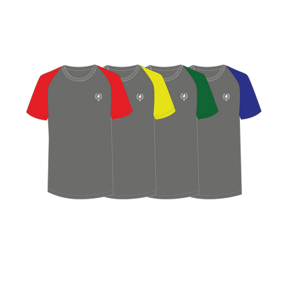 T-Shirt (Light Grey) + House Colour
